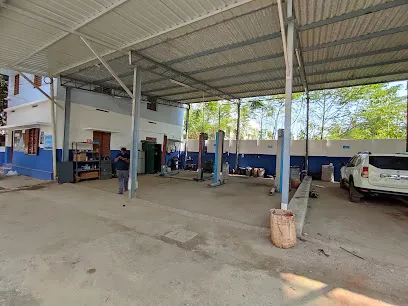 GVN Motors(BOSCH Car Service)