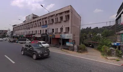Hyundai Mobis, Wayanad
