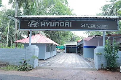 Hyundai Service Autocat