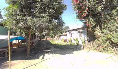 Intajol