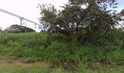 Kanaa Auto