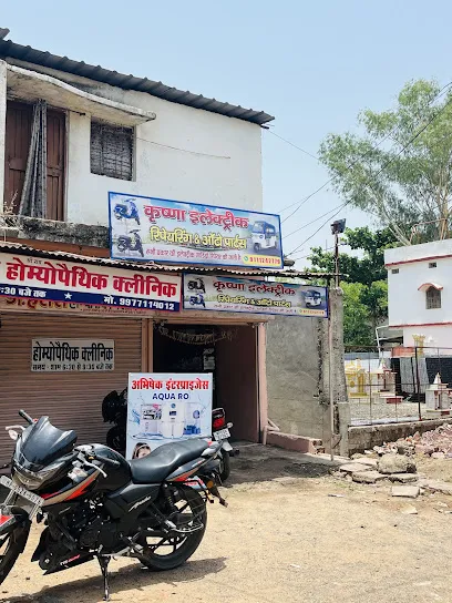Krishna Electric