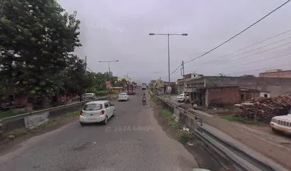 Laddi auto electration