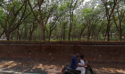 Luxon tata stock yard
