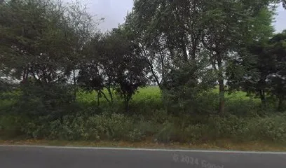 MANJEET BUKAN AUTO ELECTRICIAN