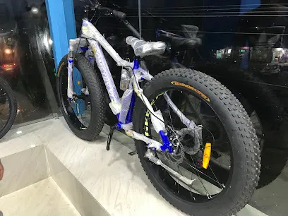 Mantu Cycle Service