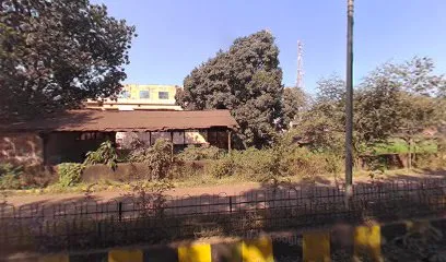 Maruti Suzuki Arena service
