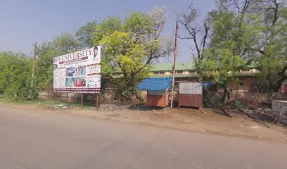 Mohammad Shahajad Auto Parts