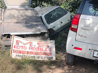 M.S automobile