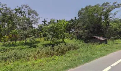 M/S Momi Bhuyan Store