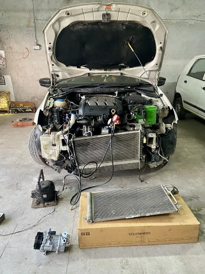 શ્યામા MULTI CAR WORKSHOP