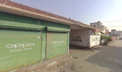 Nabha motors