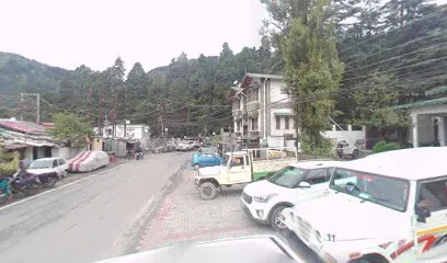 Naini automobiles