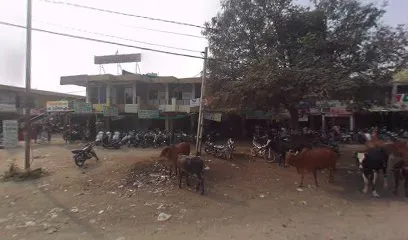 NARAYAN AUTO