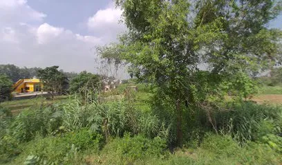 Near car mechanic