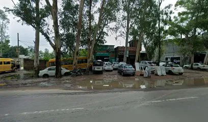Neeli chat automobile repair works