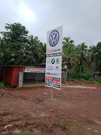 New Auto Experts