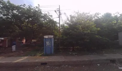 New Indian Kushan