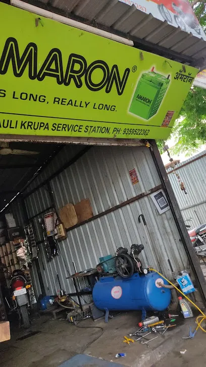 New Mauli Krupa Service Station