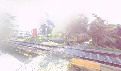 Novel's