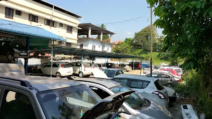 Orchid Cars