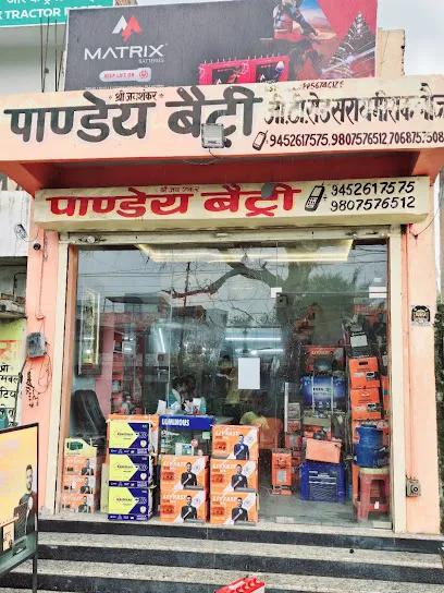 Pandey Battery Store