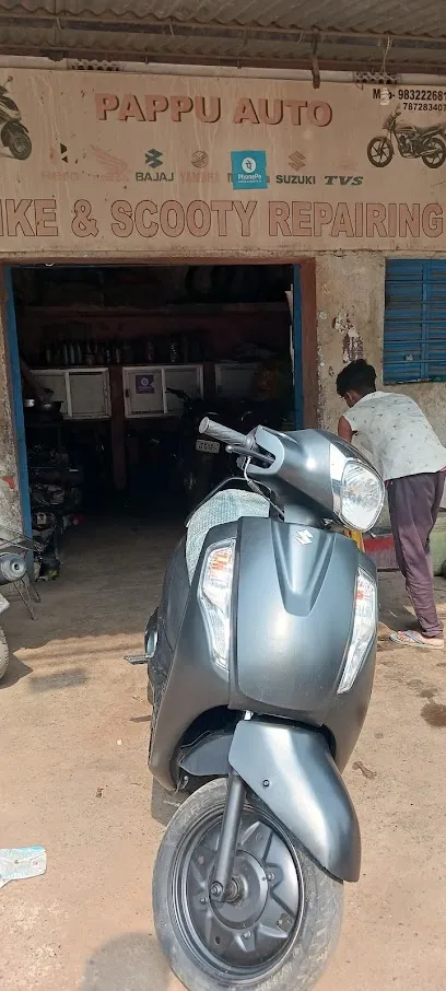 Pappu auto