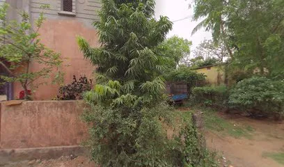 Papu Auto Mobiles