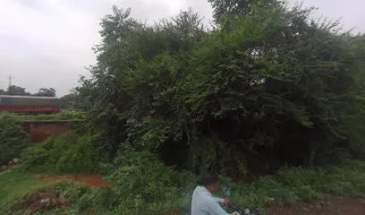 PARMAR PINTUBEN BHARATBHAI