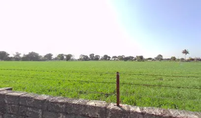 Patel Auto Gerej