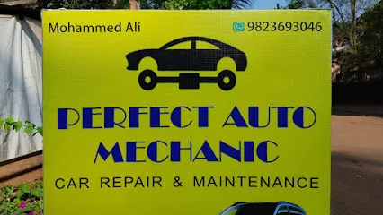 Perfect Auto Mechanic