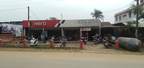 Placid Motors
