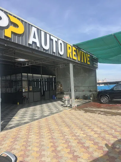 PP AUTO REVIVE