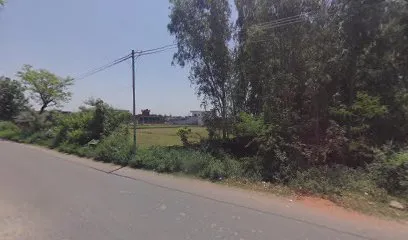 Priya motor
