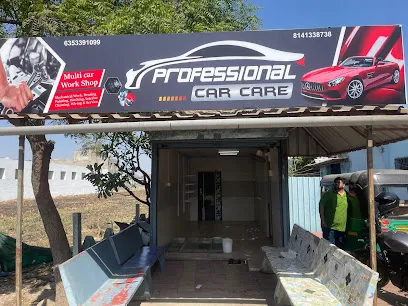 Professional Car Care
