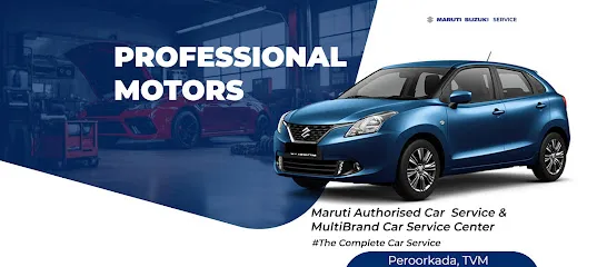 Professional Motors (ISO 9001-2015 Certified)