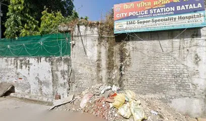 Raghu Auto