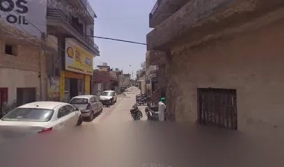 RAJ SINGH