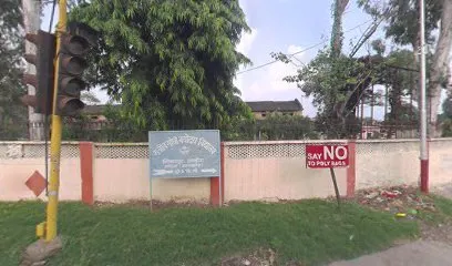 Rajesh painter service