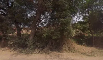 Rajsthan Car Garaj