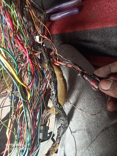 Raju auto electrician