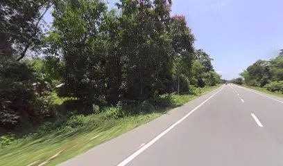 Raju Store