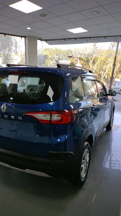 Renault Kangra Service
