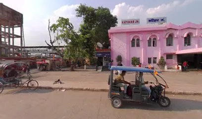 Rinku Toto