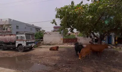 Roushan Ali Auto Electric Moters