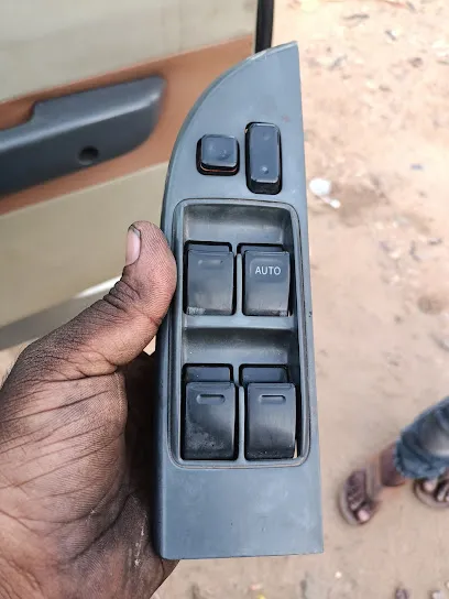 Saddam Car electronics