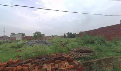 Saifi Agriculture