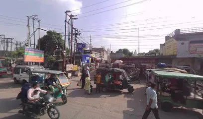 संजू मिस्त्री