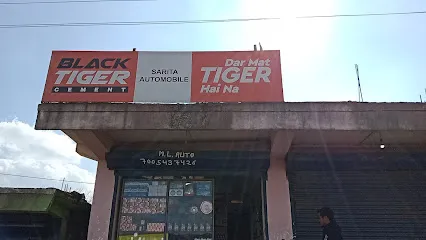 Sarita Automobile