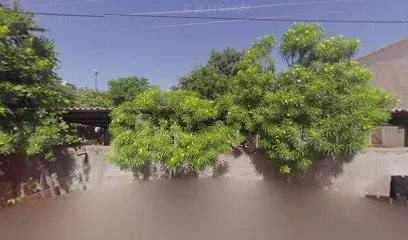 Shiva motors